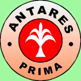 logo.jpg